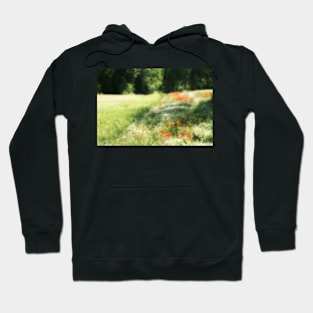 Provence Field Hoodie